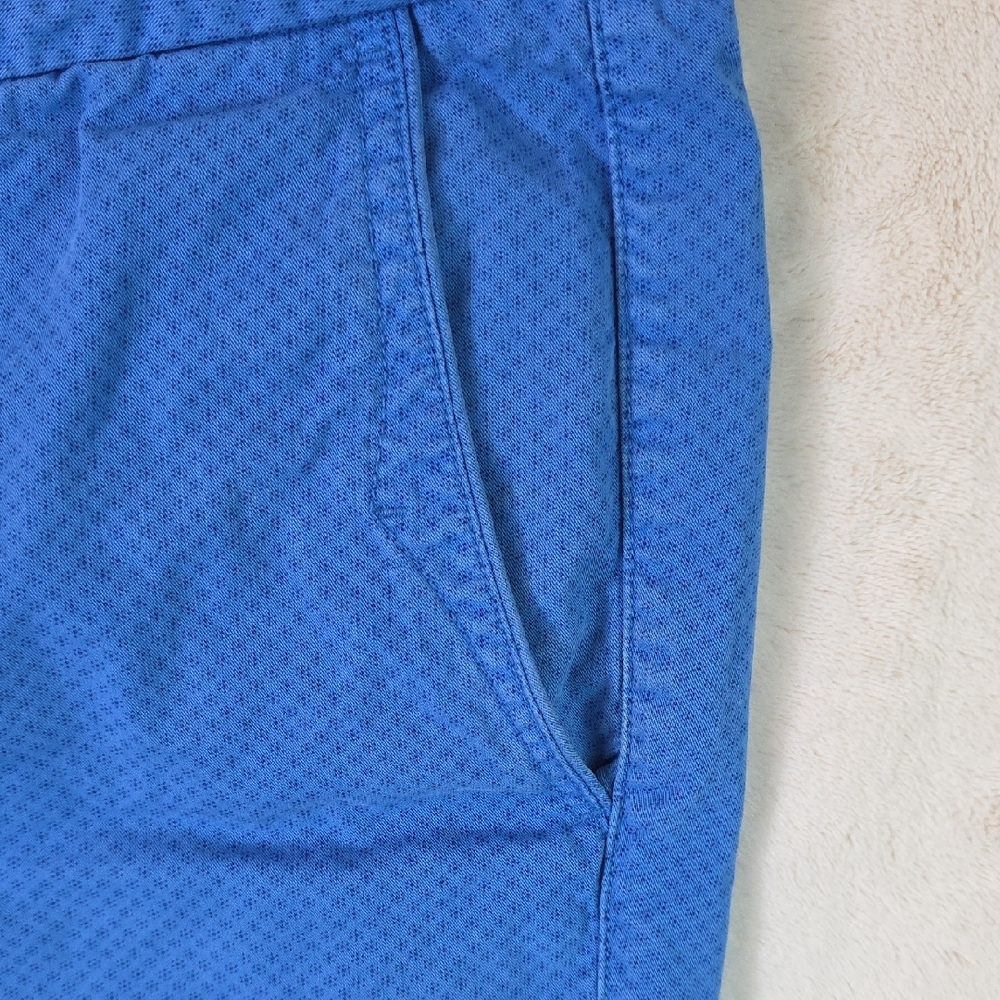 Massimo Dutti Men's Blue‎ Shorts Short Size 38 / EU Sz. 48 - Picture 3 of 11